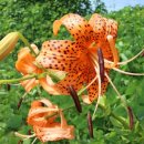 장목경로당 이미지