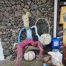 백록정궁도장 이미지