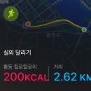 일미양꼬치 판교역점 이미지