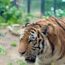 삿포로시 마루야마 동물원 다양한 동물들 札幌市円山動物園