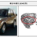 디스커버리 카카오 검색결과