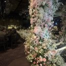 더 스타 | 부산 헤리움 웨딩홀 하객 더스타 뷔페 후기