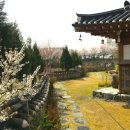 솔모로골프장 | 여주 솔모로CC 라운드 후기 | 회원제 골프장 체리·퍼시먼 코스 &amp; 이천 응암리막국수 맛집 🍜