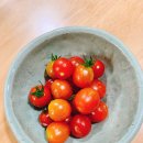 제주영순이농장 | ［1906］여름시작 밥상모음