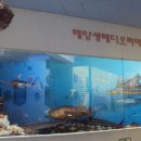 땅끝해양자연사박물관 이미지