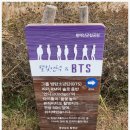 별빛정원B | 2025 합천 황매산 억새축제 후기- 은빛과 금빛 억새를...BTS RM 뮤직비디오 촬영지 억새군락지 별빛언덕