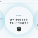 베트남 국제결혼, 한베합동사무소와 함께한 신부의 한국어 요건 준비 후기