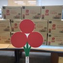 이유림 카카오 검색결과