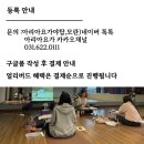 (초급) 생활요가 이미지