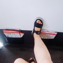 도일렌터카 네이버블로그