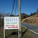 힛도농장 이미지