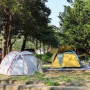 보광2리 이미지