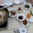 오로지닭 이미지