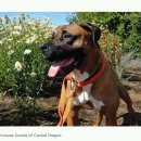 누렁이농장 이미지