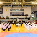 태백강원태권도체육관 이미지