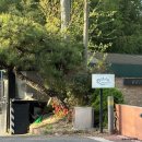 앙뚜케이크 | 대구 수성못 파인다이닝 레스토랑 앙뚜레누보 디너 후기