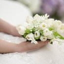 서구-02-71 | w1-②. 본식스냅_ 유성컨벤션웨딩홀 여백스냅 본식 후기