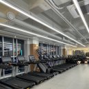 더 퍼스트 이미지