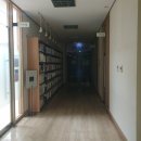 소나무언덕잠실본동도서관 | 소나무언덕 잠실본동 도서관 : 주차장, 가는법 : 도심 속 쉼터에서 힐링하기