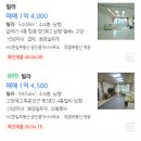 장자길82번길26 네이버블로그