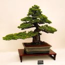 아름다운 꿈 이미지