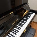 비엔나청소년음악콩쿠르 이미지