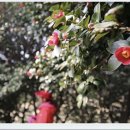 자유슈퍼 이미지