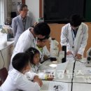 청성초교 병설유치원 이미지