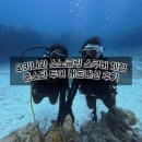 오키나와 스노클링 투어 홍스타투어 스노쿨링 체험다이빙 내돈내산 후기