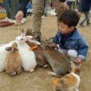 가족목장 이미지