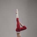 바른자세척추운동 이미지