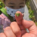 풀잎어린이집 이미지