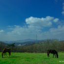 고목목장 이미지