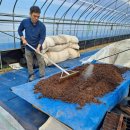 태동농장2 이미지