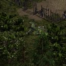 토템2000 이미지