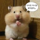 죠스떡볶이광명일직점