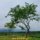 황산공원(황산B) 이미지