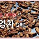 우엉차 효능 , 우엉차 칼로리는? 영양성분 전체정리 이미지