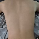 가연바이오 | 원주바디관리) 숲칼프 바디돔 등관리 헤드스파 한번에
