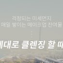 리리콩