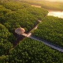 🌳 보홀 팡라오 호텔/리조트추천 노스젠빌라 수영장, 조식, 맹그로브숲 일몰 데이유즈 내돈내산 솔직후기