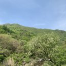 휴일엔펜션 이미지