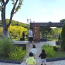 더# | 수원스튜디오 삼둥이 500일 촬영 더렐스튜디오