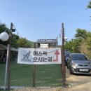 두부네 애견카페 이미지