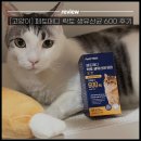 600 | [고양이 유산균 추천] 페토메디 락토 생유산균 600포캣 후기