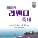 6만 8천 꽃송이 가득 피었어요 보랏빛 물결 펼쳐지는 바다위 라벤더 정원 이미지