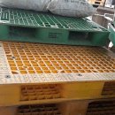 대경농장2 이미지