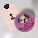 오마이샷츠 이미지