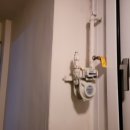 국화우성 이미지