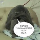 한스델리 안성점 | 겨울이 너무 길어 2월